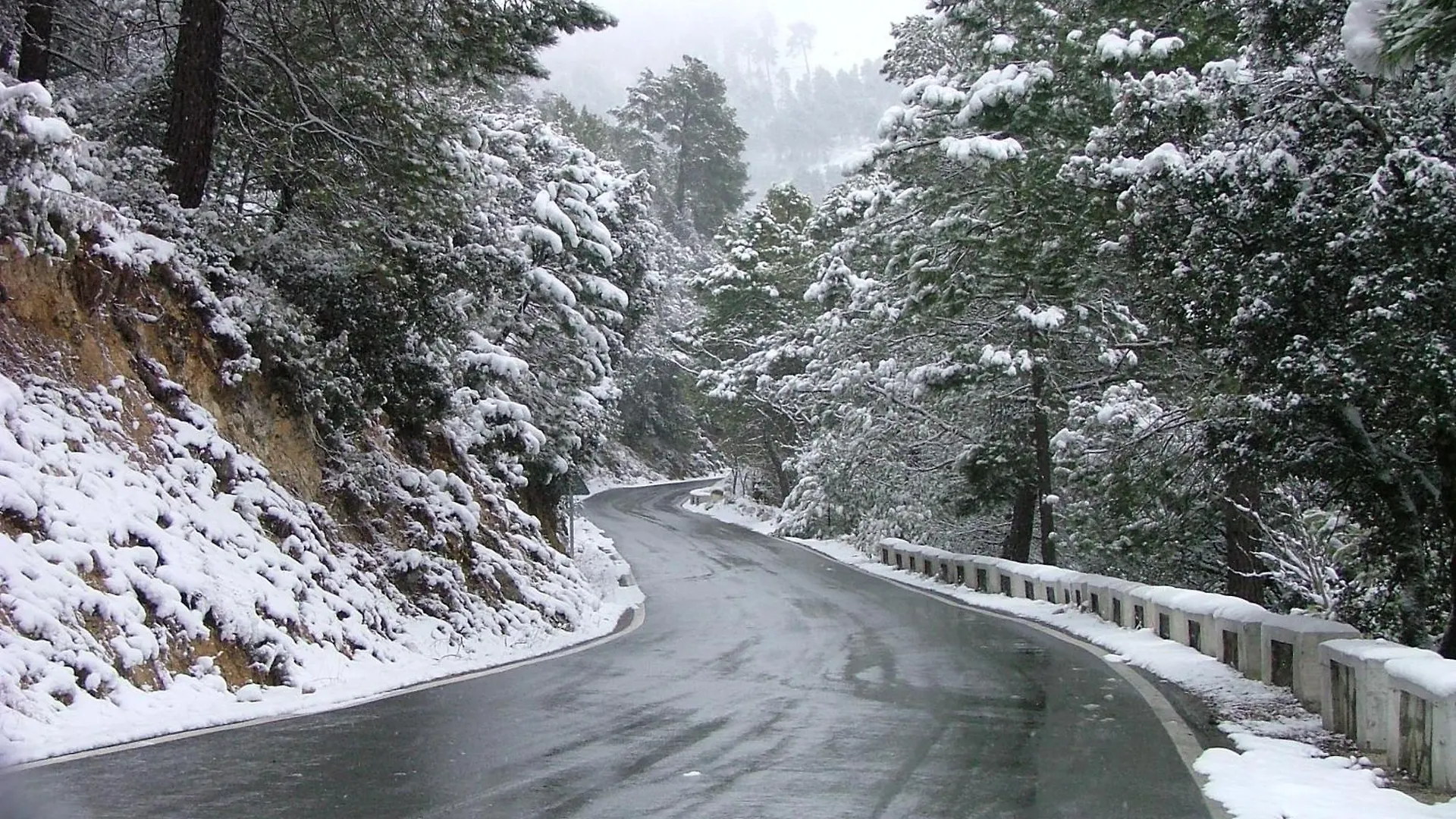 Alojamiento Rural Los Olivos Arroyo Frio Spain